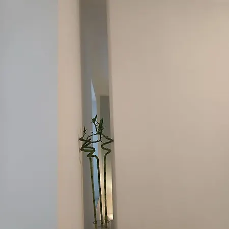 La Corte Dei Luisitt Como